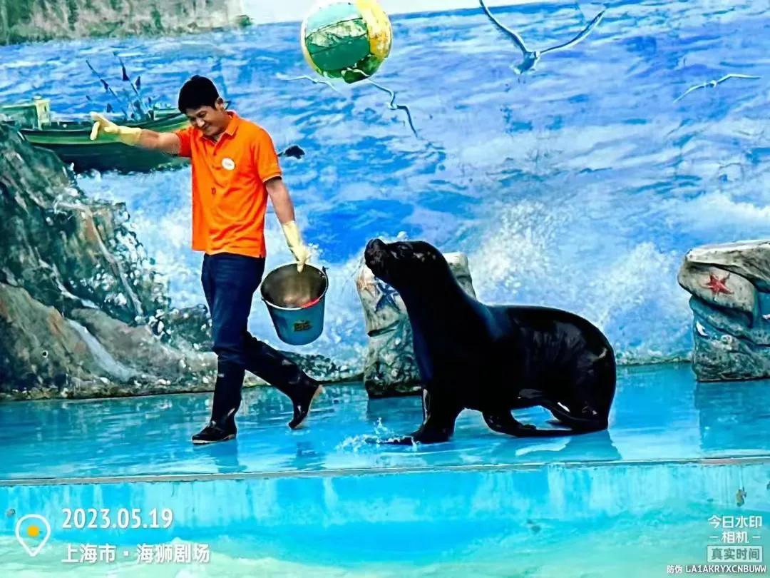 中国最大的野生动物园是哪个城市,中国最大野生动物园