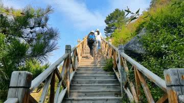 房山红叶最佳地点木栈道,北京房山森林游玩地方推荐