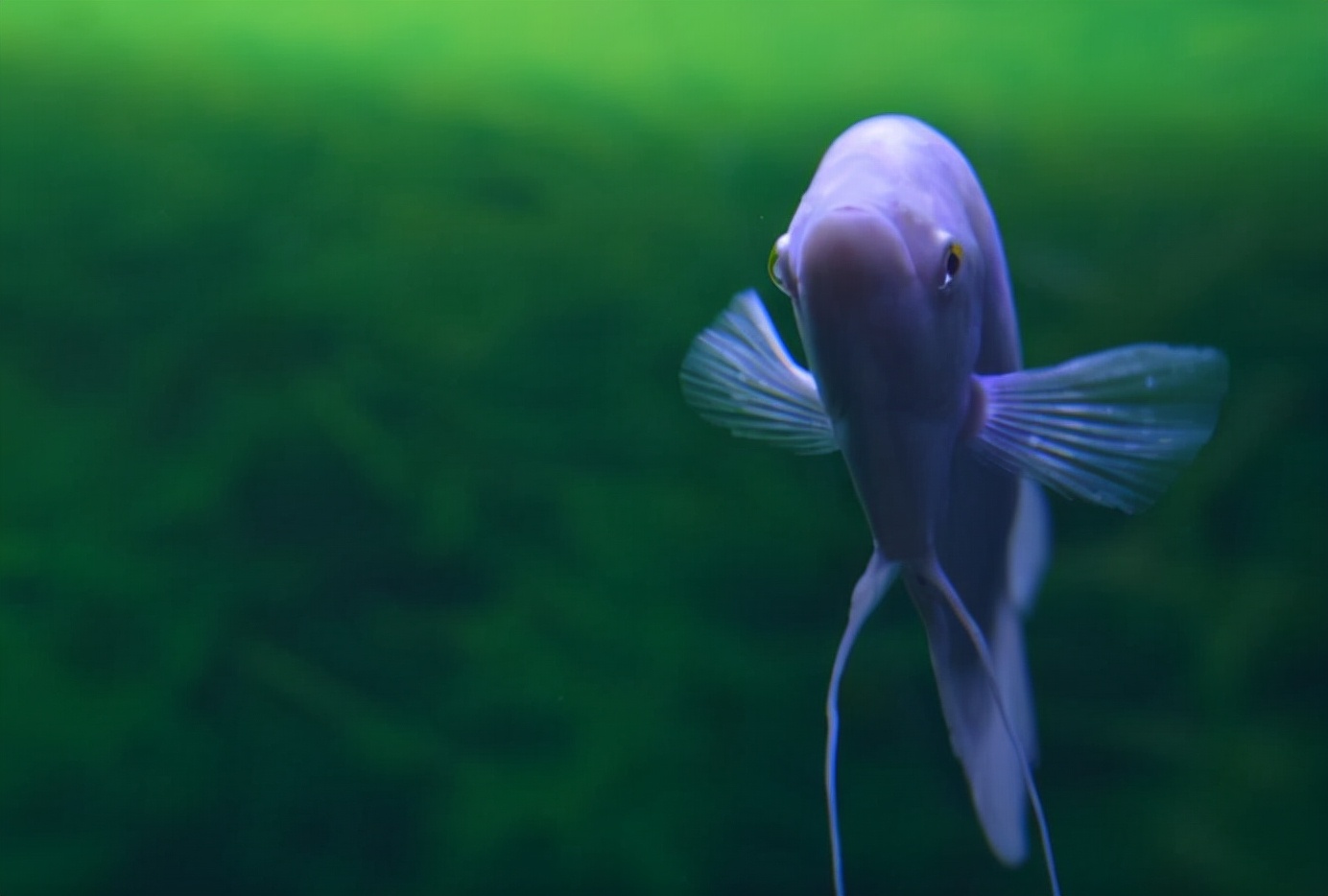 金鹰海洋世界常州万达,常州金鹰海洋世界怎么样好玩吗