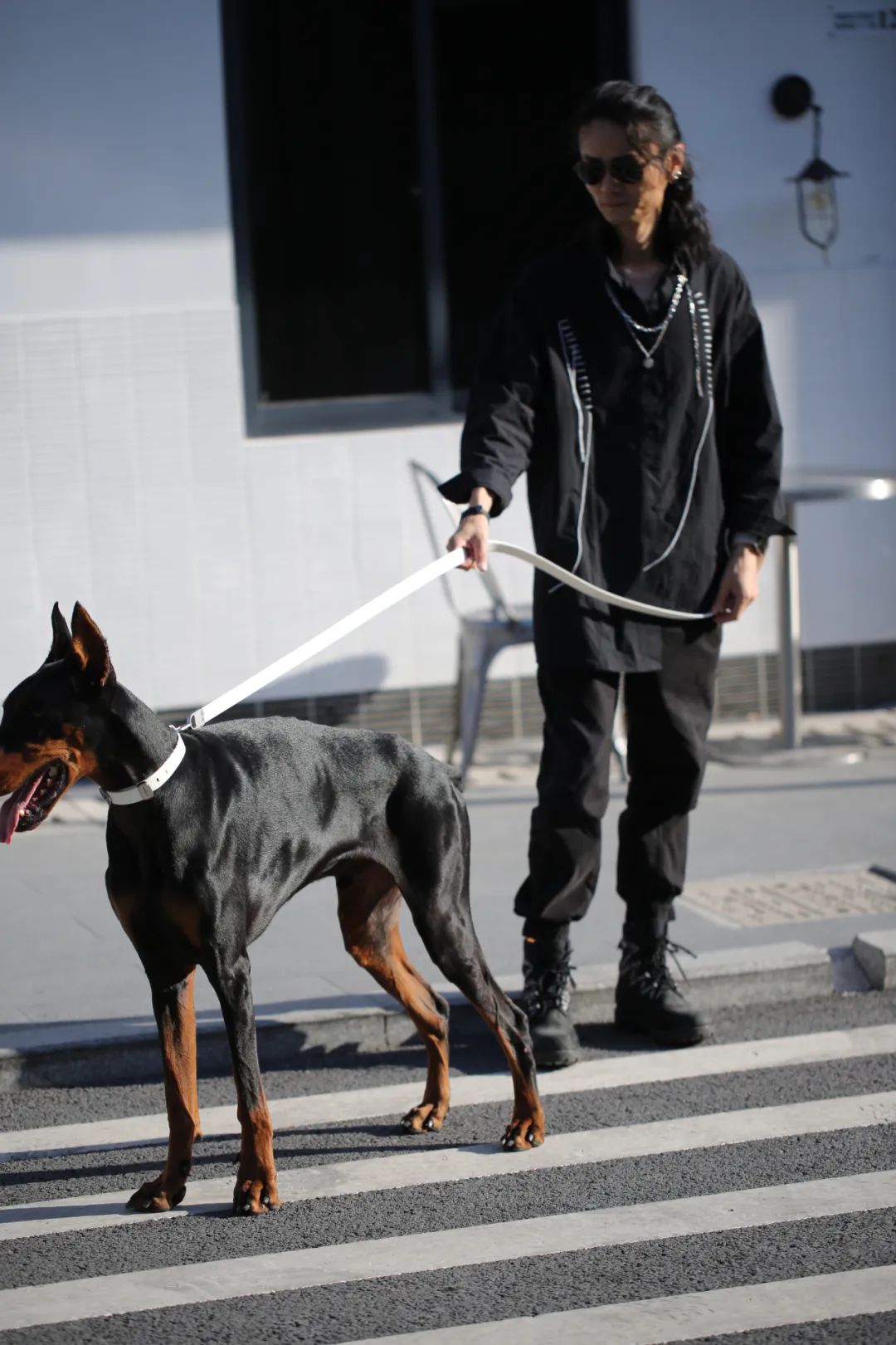 为宠物而设计,极简宠物产品