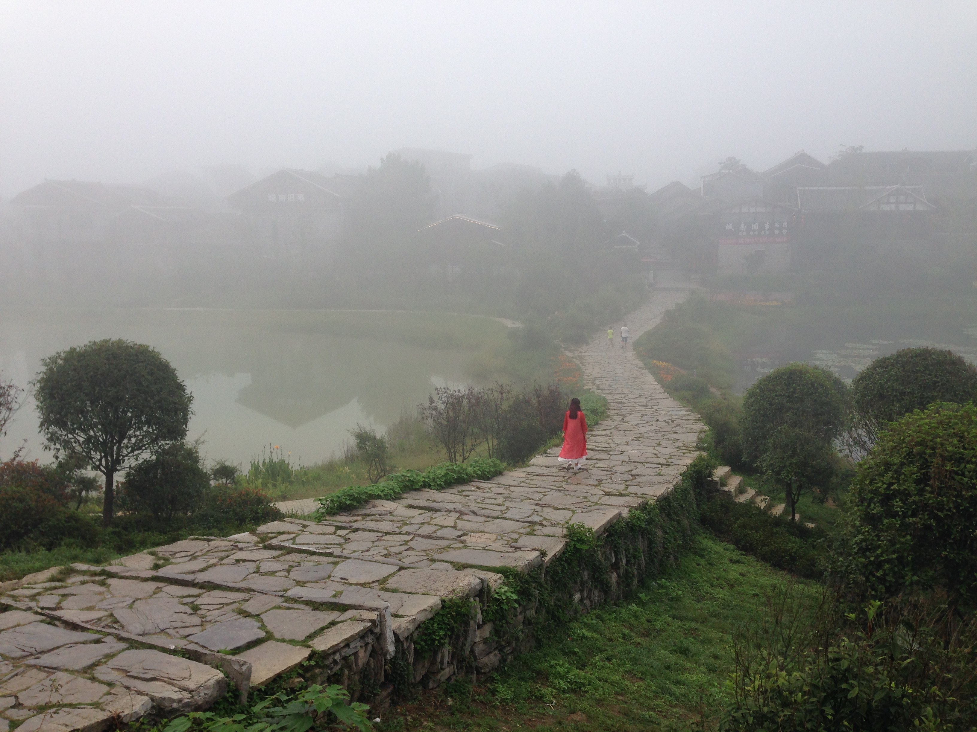 阿里风云（一）秋风又起