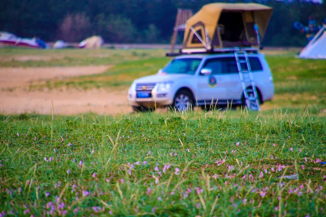 春天里的第一场露营安排,春天的第一次露营开始了