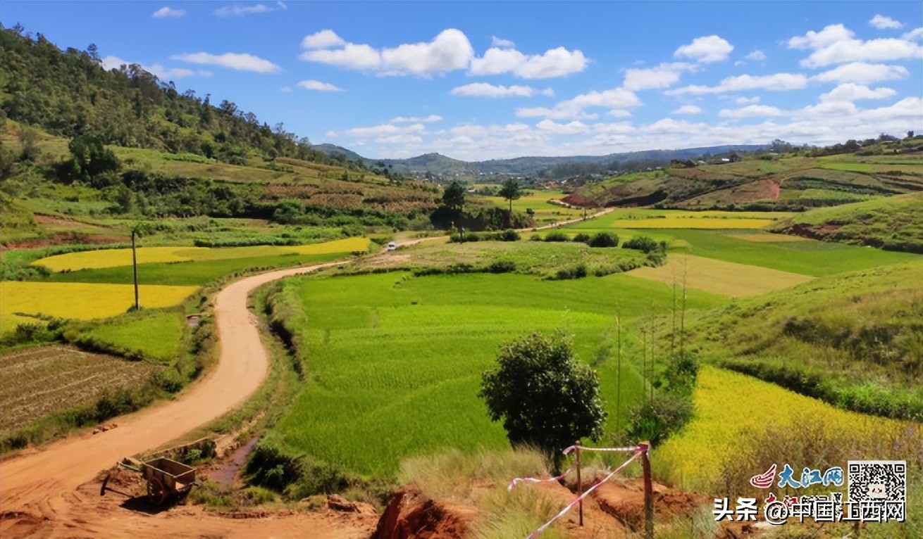小小鸡蛋见证中非情谊江西企业在马达加斯加修建“鸡蛋路”