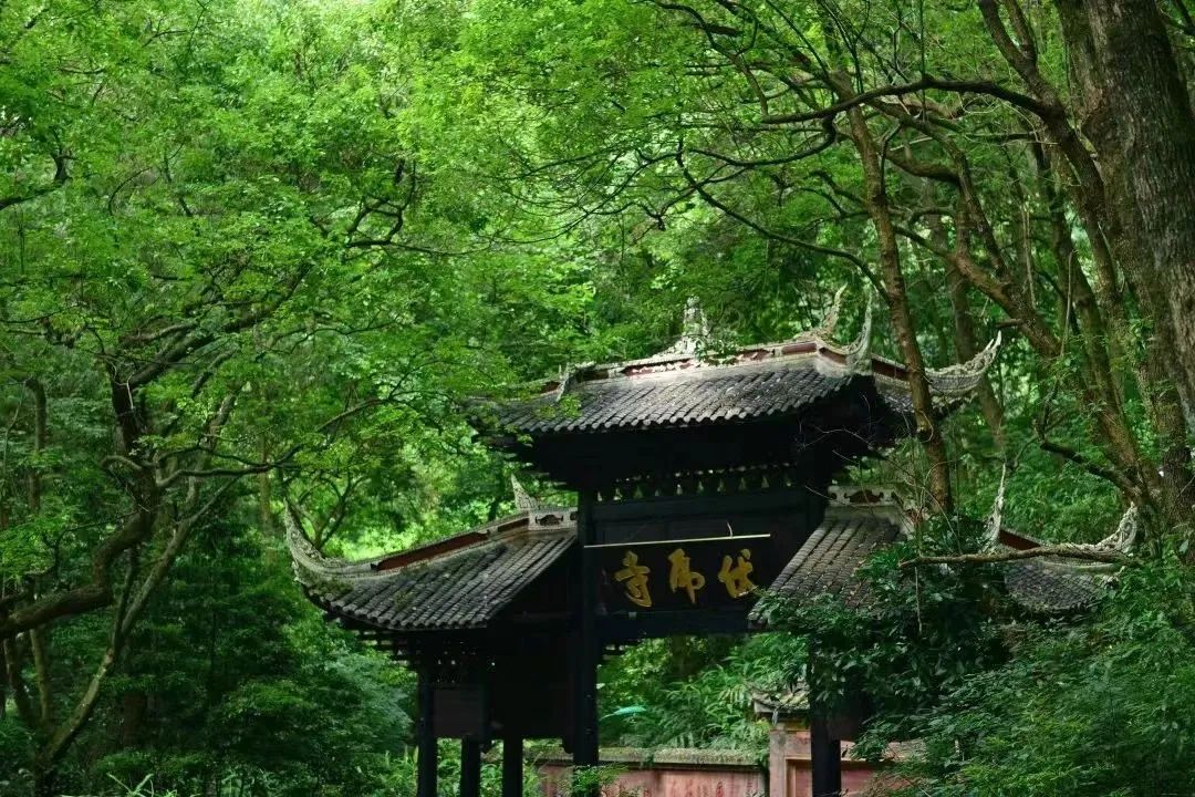 到峨眉玩的攻略,峨眉全攻略