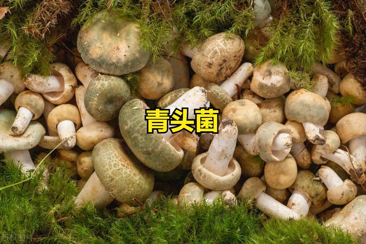 云南公务员待遇性价比,云南省各地市公务员待遇排行榜