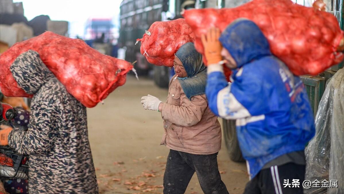 物流理论学习物流基础-装卸搬运