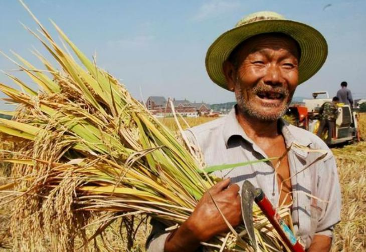 农民工资2万多一年吗,农民工资2300元