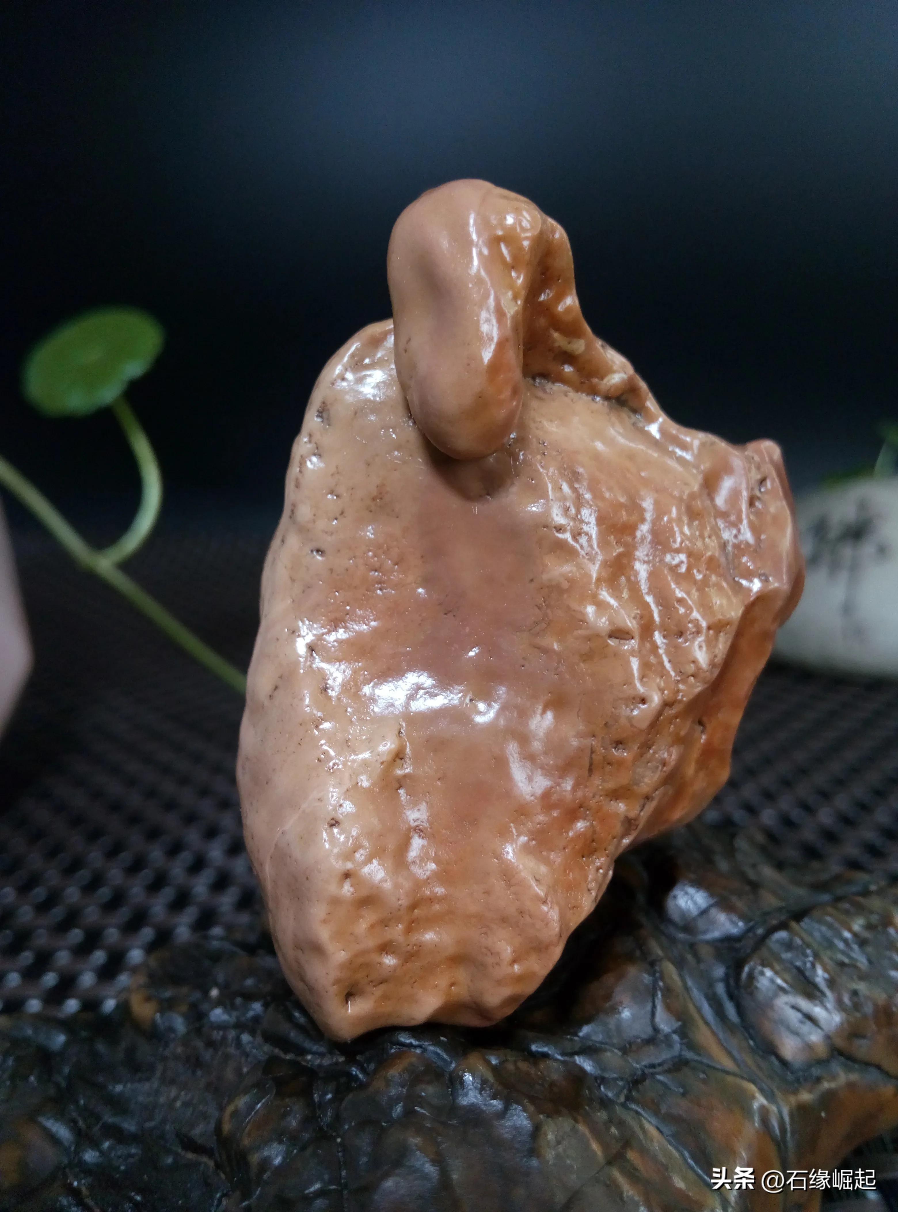 什么样的石头称为奇石,什么样的石头才是玉石