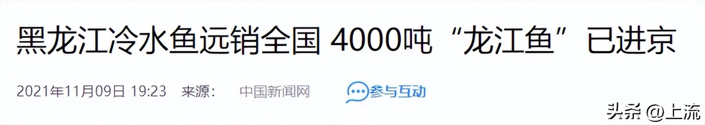 大马哈鱼,东北大马哈鱼