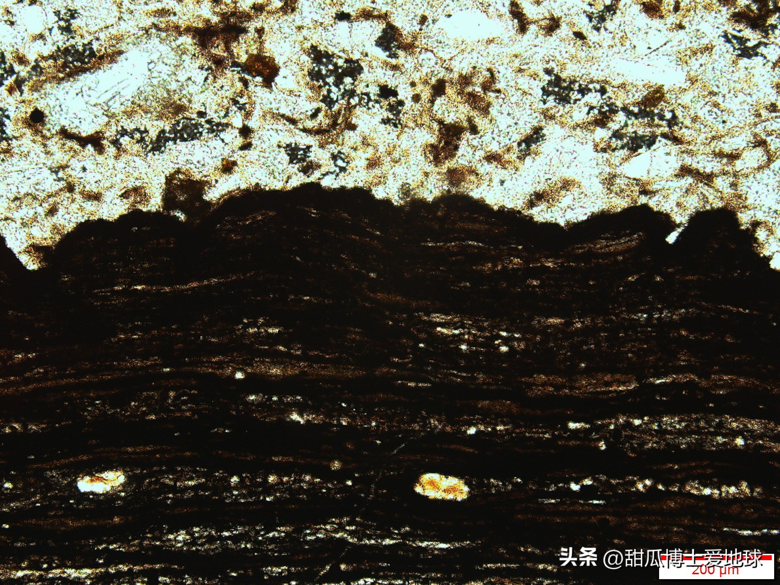 河南南阳发现的特大油田,南阳油田石油储量