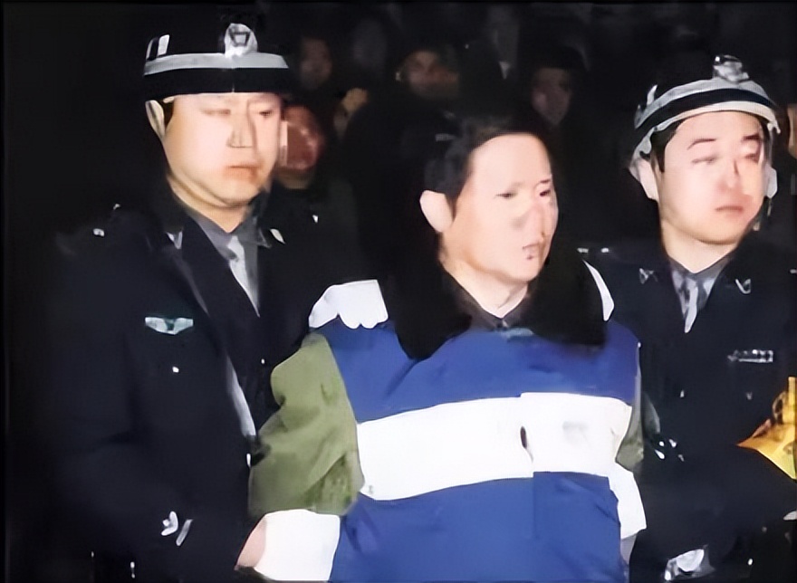 雇凶杀官的李长河,河南省平顶山李长河案件