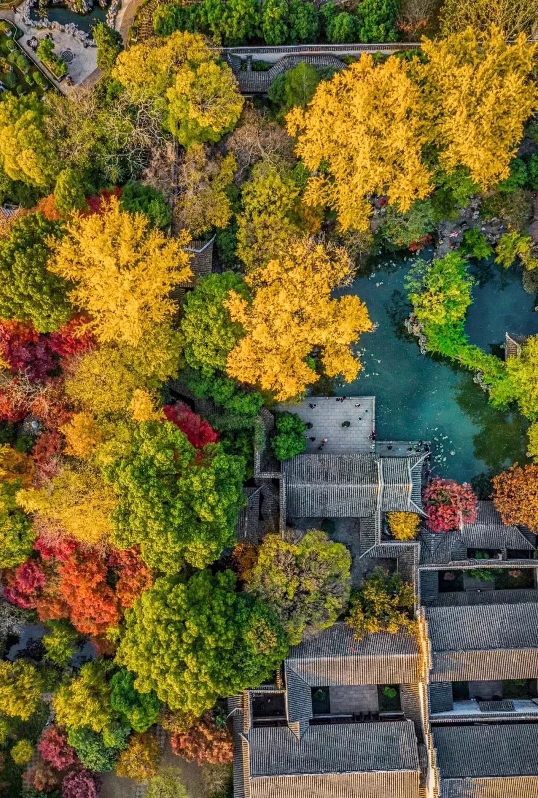 第四代住宅庭院景观,第四代住宅景观细节