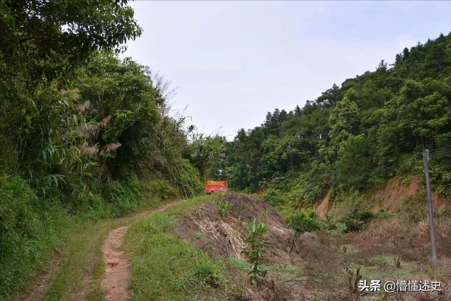 洗衣工36年靠一根扁担养活87个孩子,出20名清北生,赡养27位老人