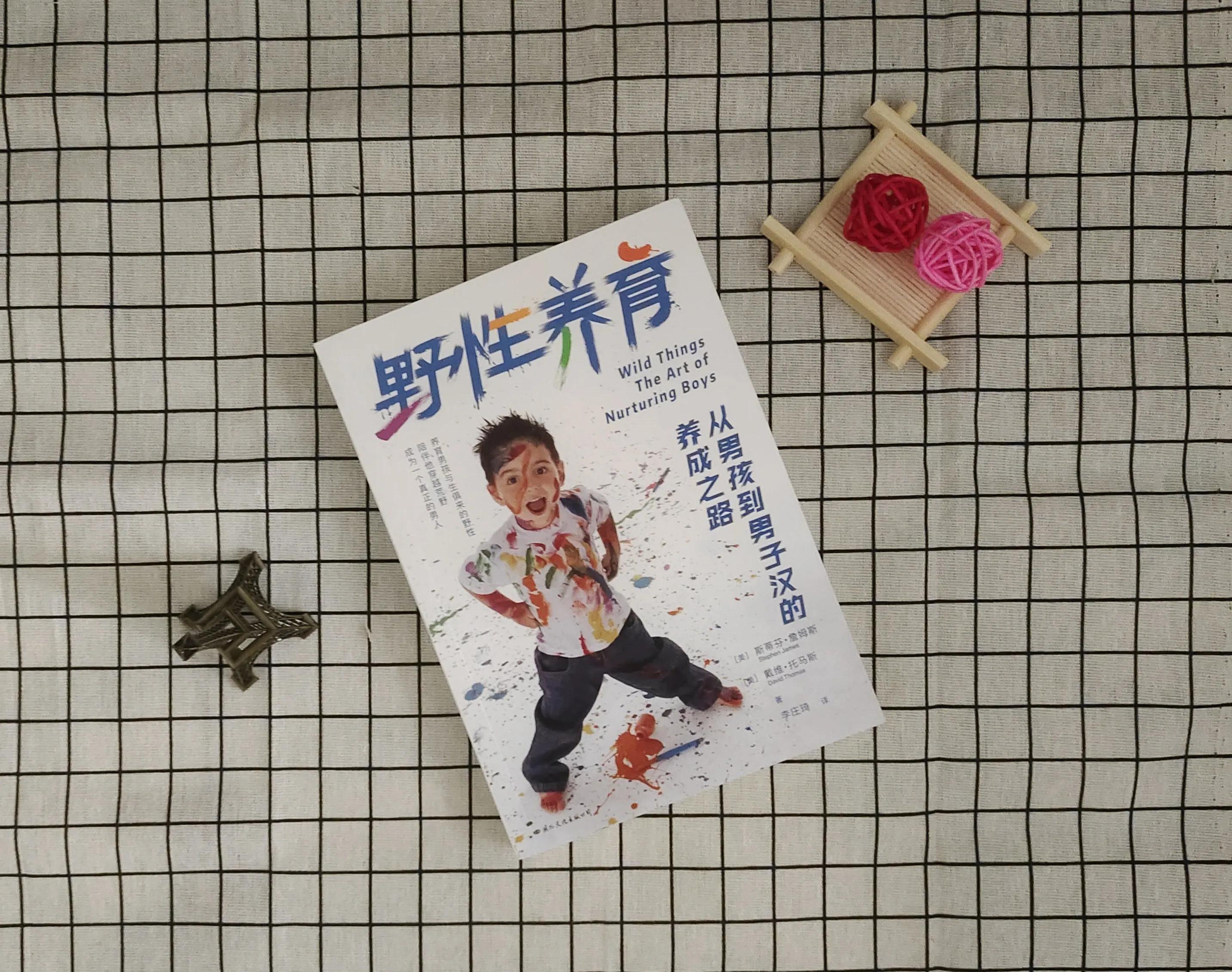 《野性养育》：作为男孩的父母，要掌握的育儿方法