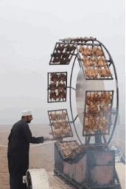 我真的很好奇原版,我真的很好奇男生版