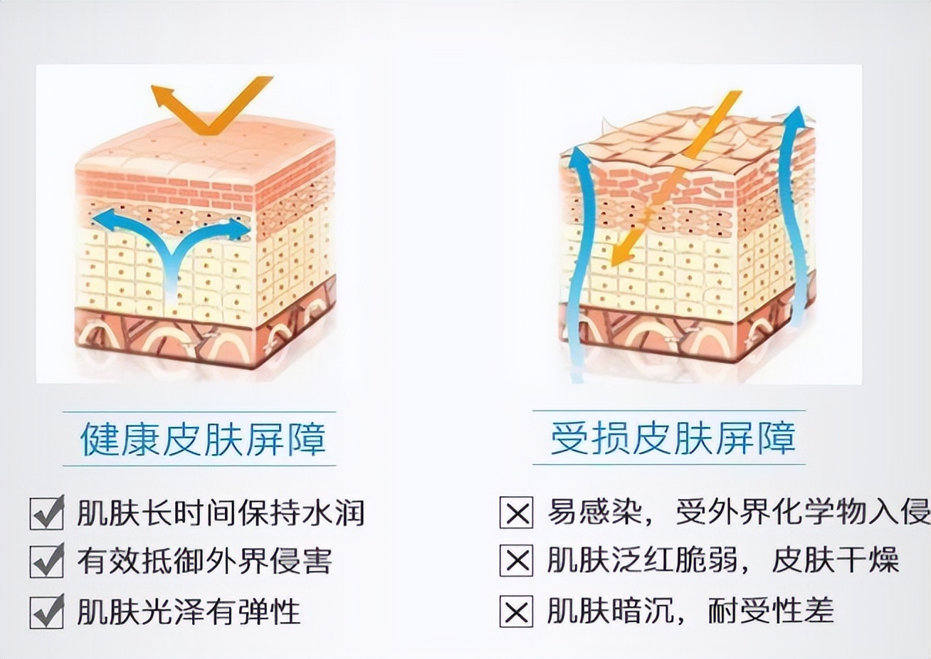 什么叶酸也能用来孕期护肤,活性叶酸的护肤品孕妇能用吗