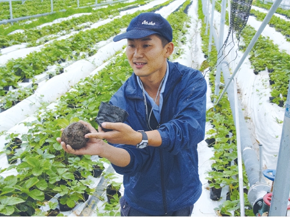 日本人租地闲置五年,日本人租1500亩地闲置