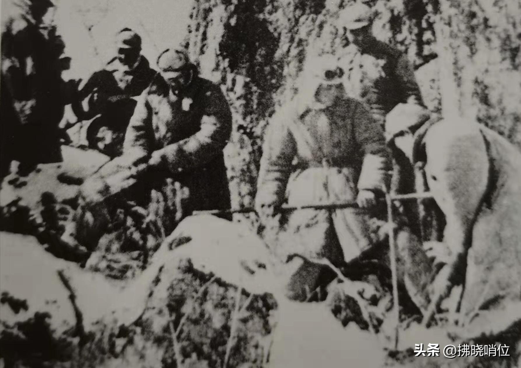 抗美援朝的第五十军简介,二十一军抗美援朝详细介绍