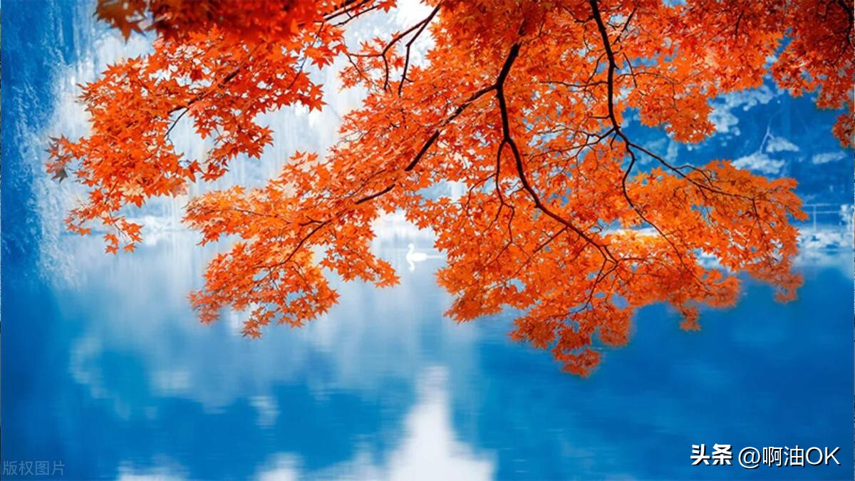 人这一生当中要经历亲情爱情友情,友情珍贵还是爱情珍贵