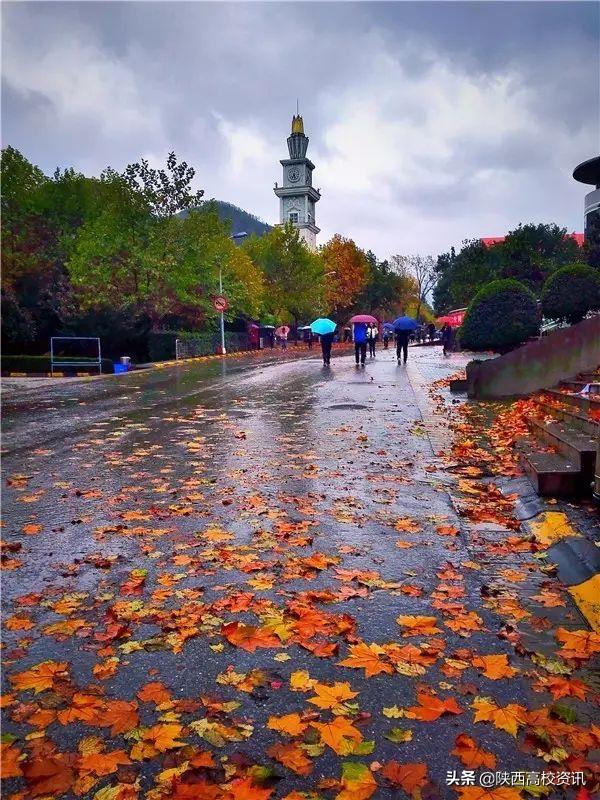 过来人谈西安翻译学院,西安翻译学院2019年的评价