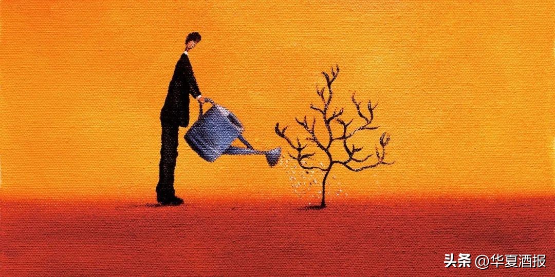 人均100元+、市场份额15%，白酒品牌“雄踞”省会市场的“道、法、术”