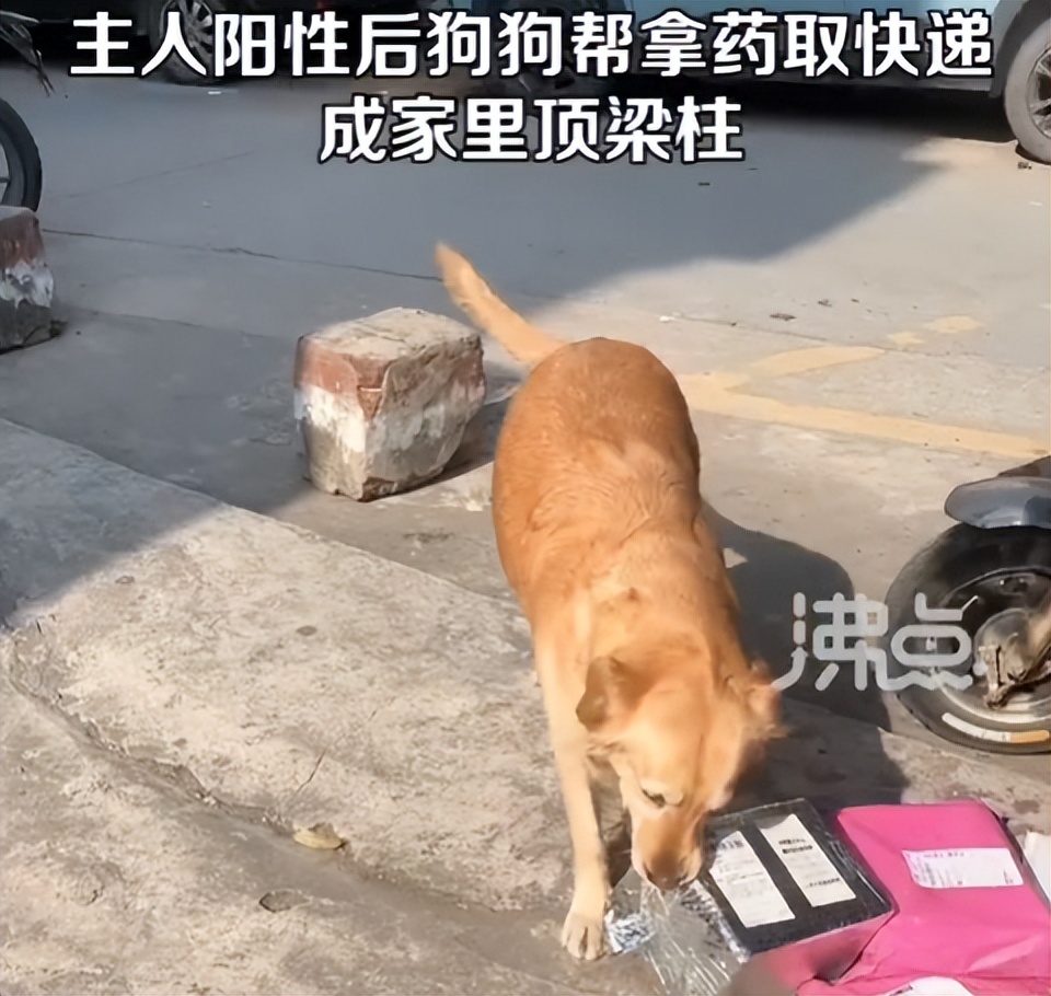 法国2比1英格兰姆巴佩集锦,法国2比1英格兰姆巴佩上场了吗