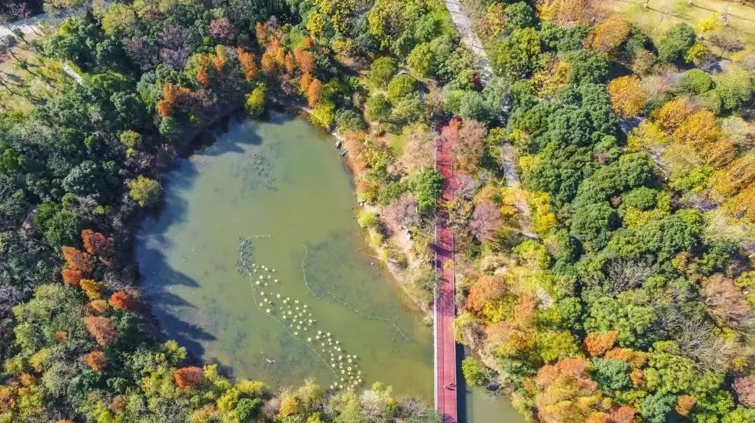 上海露营卡丁车哪里好玩,魔都自驾露营怎么玩