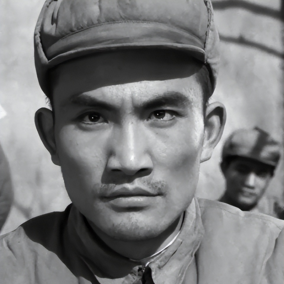 关于革命的小说红日简介,长篇小说红日沈振新的原型是谁