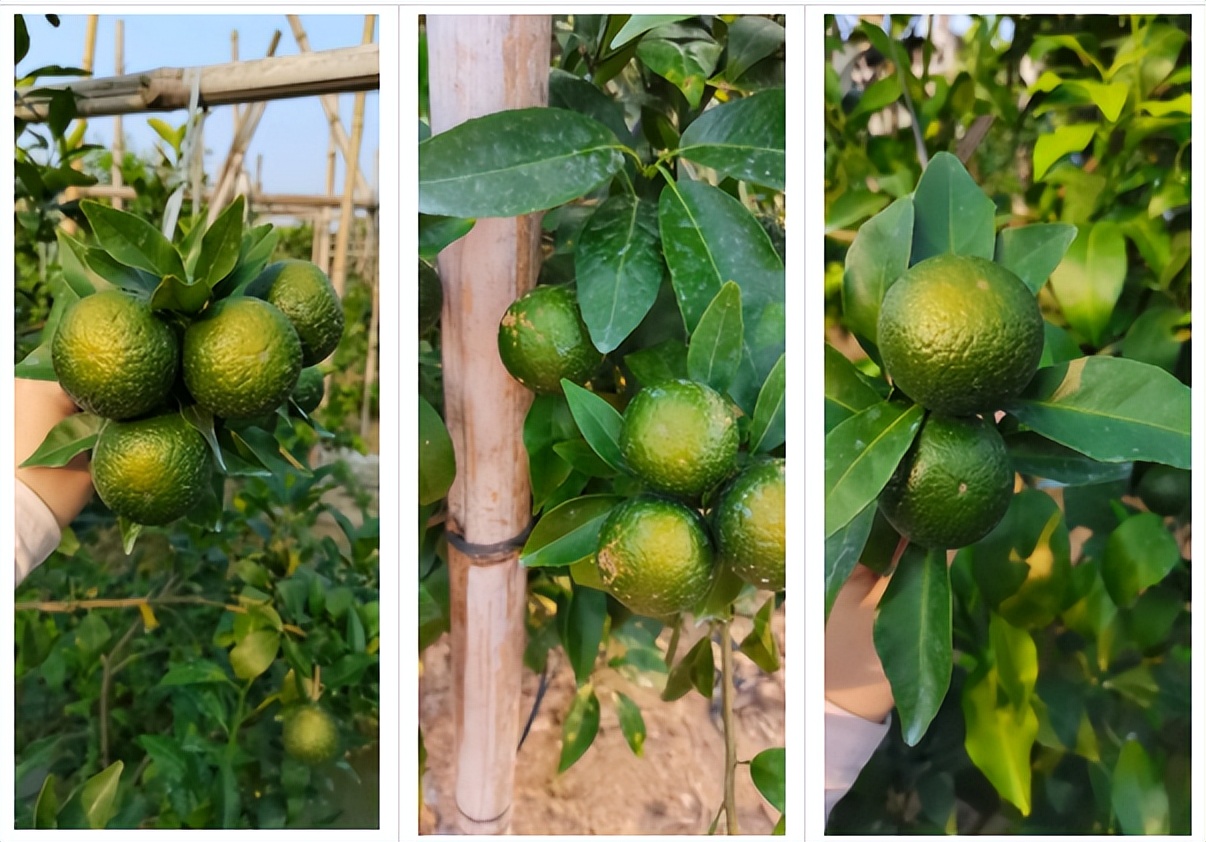 用防晒喷雾可以百分百防晒吗,用防晒喷雾做防晒霜