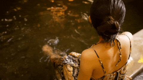 白鹿温泉全景,来温泉邂逅一场春天之约