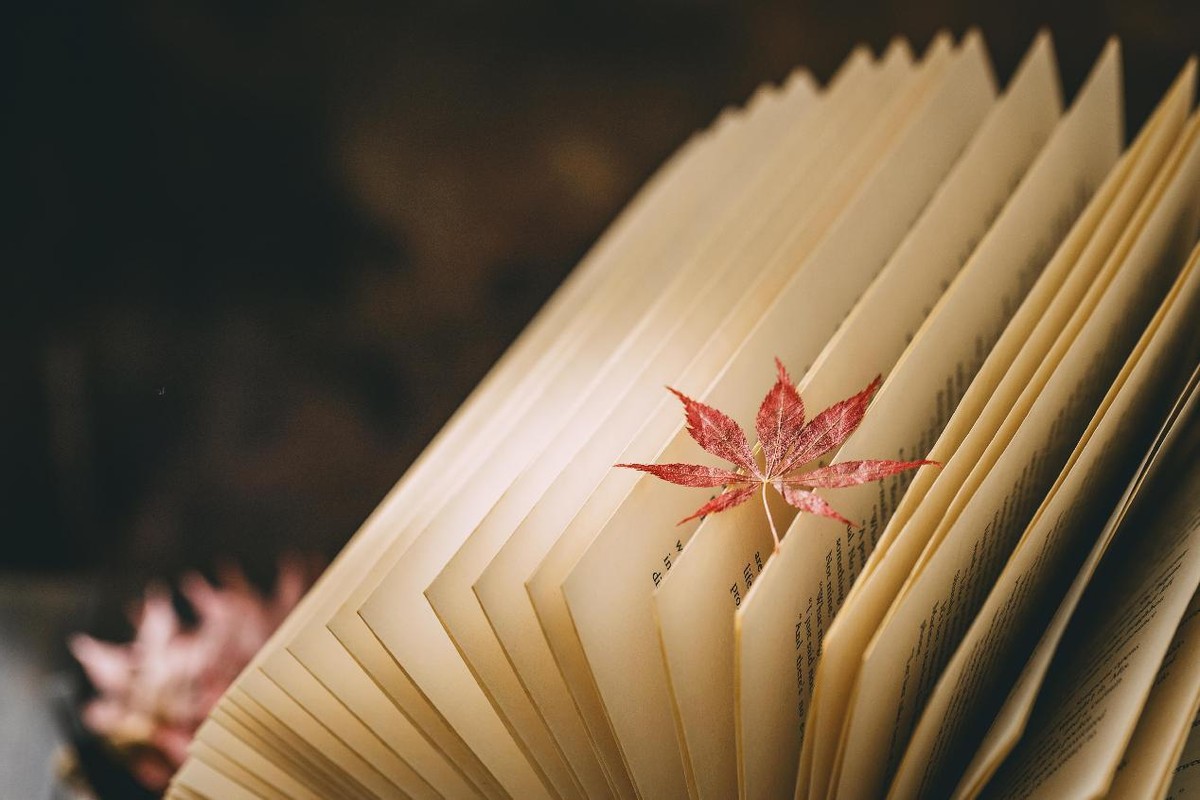 职高考大专和3+2大专的区别,职高参加单招大专和3+2大专一样吗