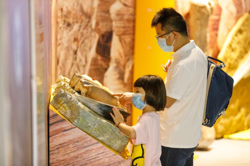 2020国庆节重庆科技馆,重庆科技馆2020全国科普日