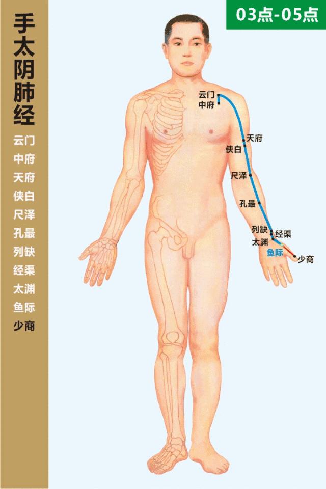 针灸90个穴位主治功能及图解,最好的针灸睡眠穴位图解