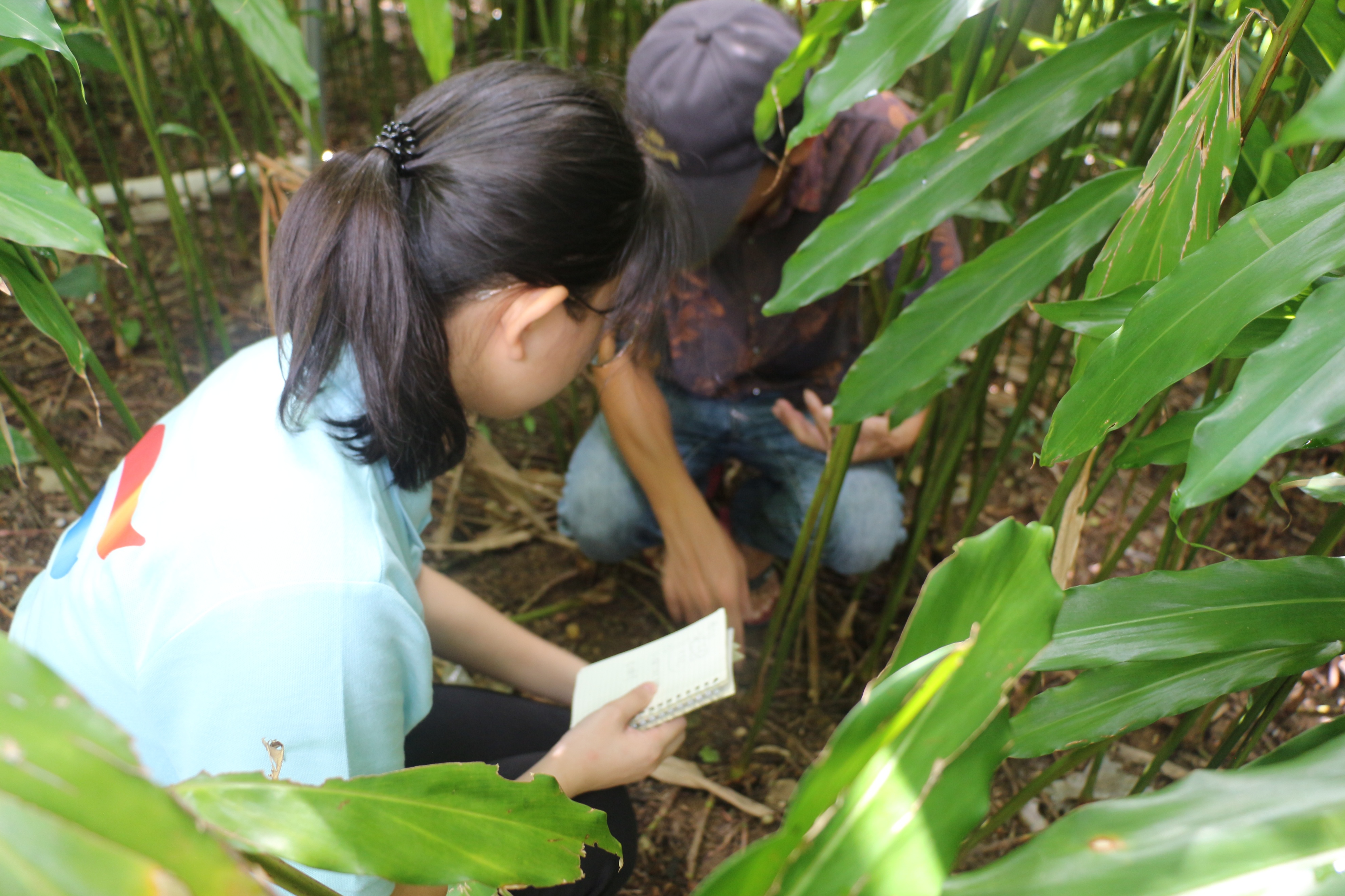 实地考察知情况，春砂助农新发展