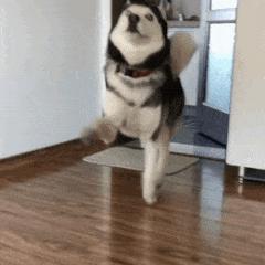 同样是处理器，为啥机器人不能直接用电脑和手机的CPU？