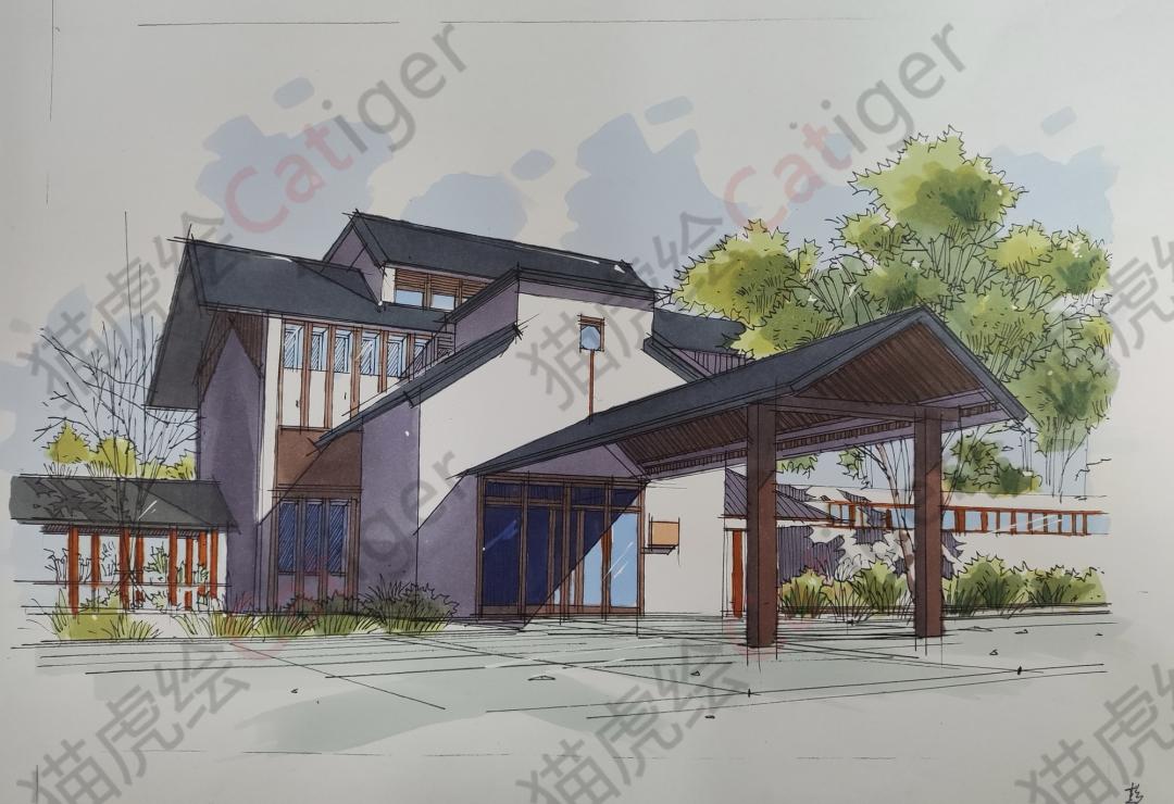 猫虎画,猫虎绘画