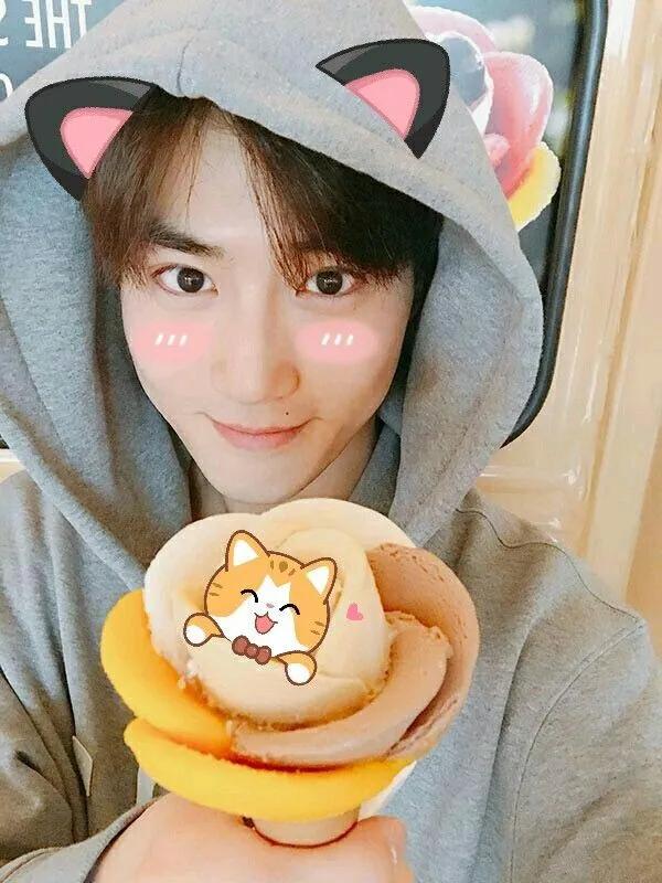 收集exo各个成员语录,exo成员说过的经典语录