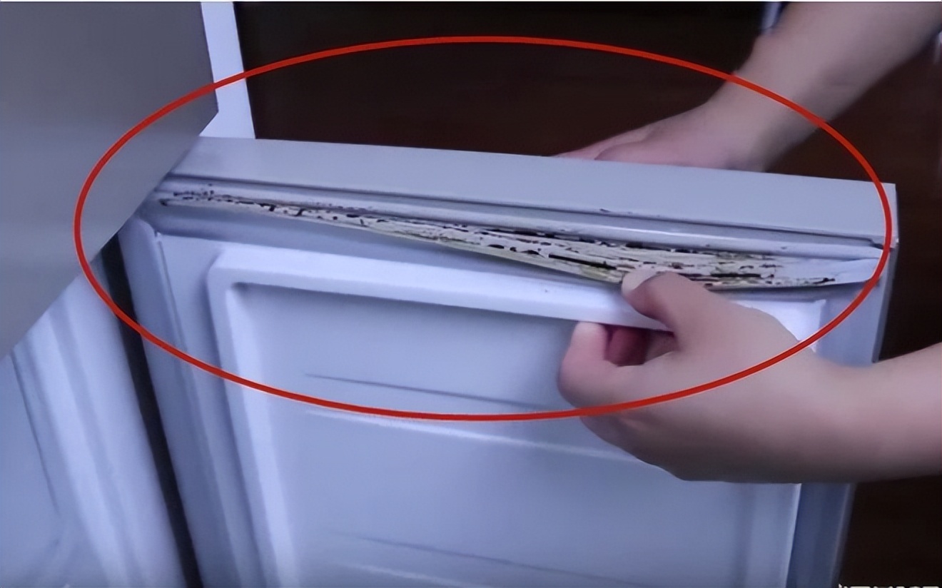 冰箱发霉了用什么方法洗干净彻底,冰箱黑色霉点如何清洗