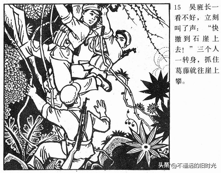 大象搬家,大象搬家河北