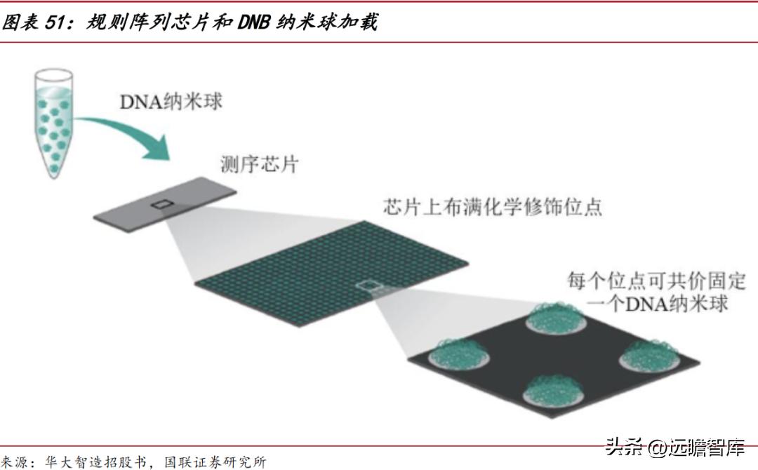 华大智造测序,美国华大智造基因测序