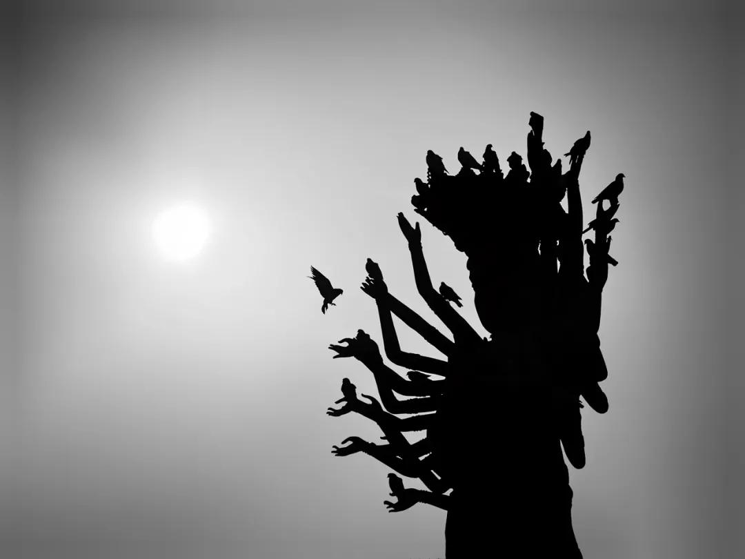 没有缺点的iphone13promax,iphone13promax与iphone13pro