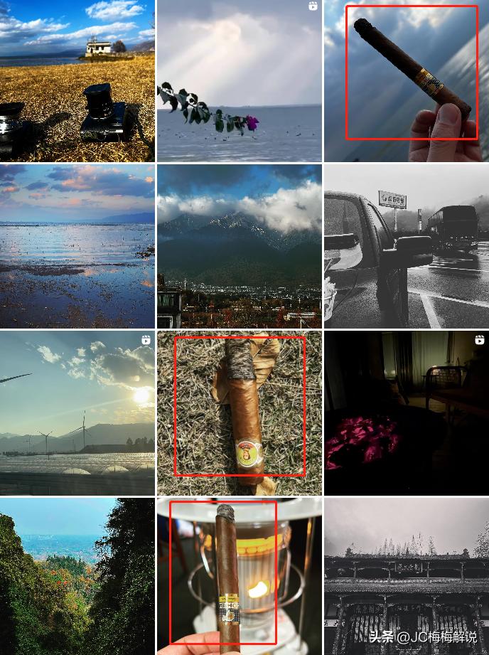 张默抽什么牌子雪茄,张默在国外抽的雪茄多少钱一支