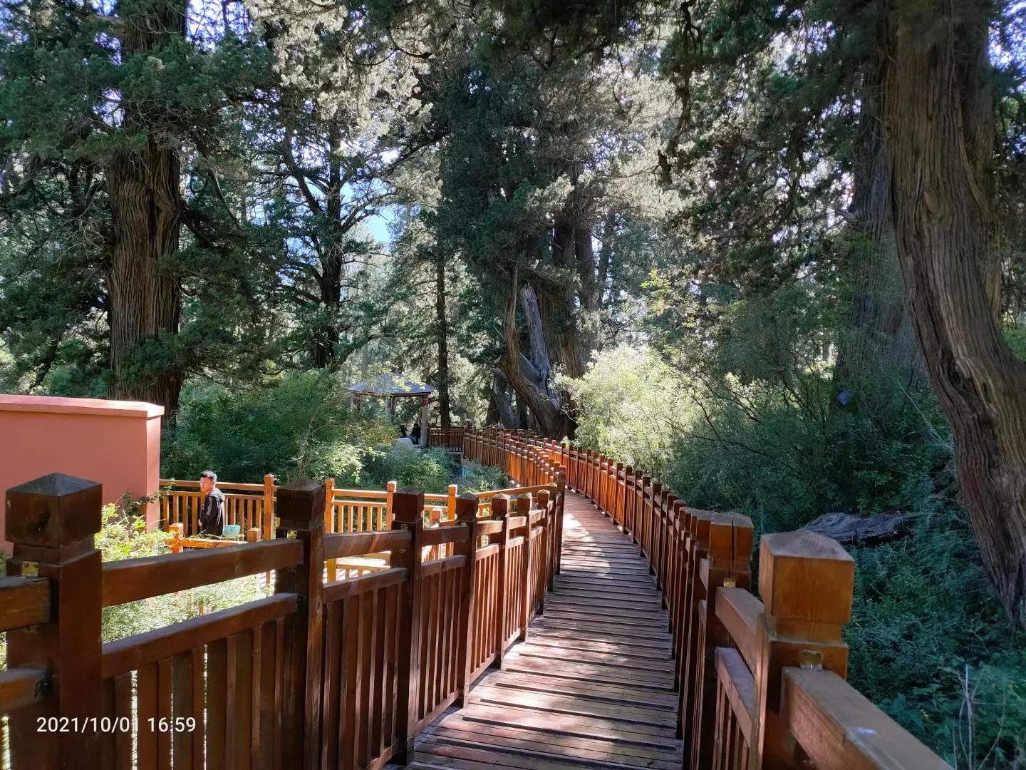 瑗胯棌鏃呮父鏅偣鎺ㄨ崘,钘忓崡椋庢櫙