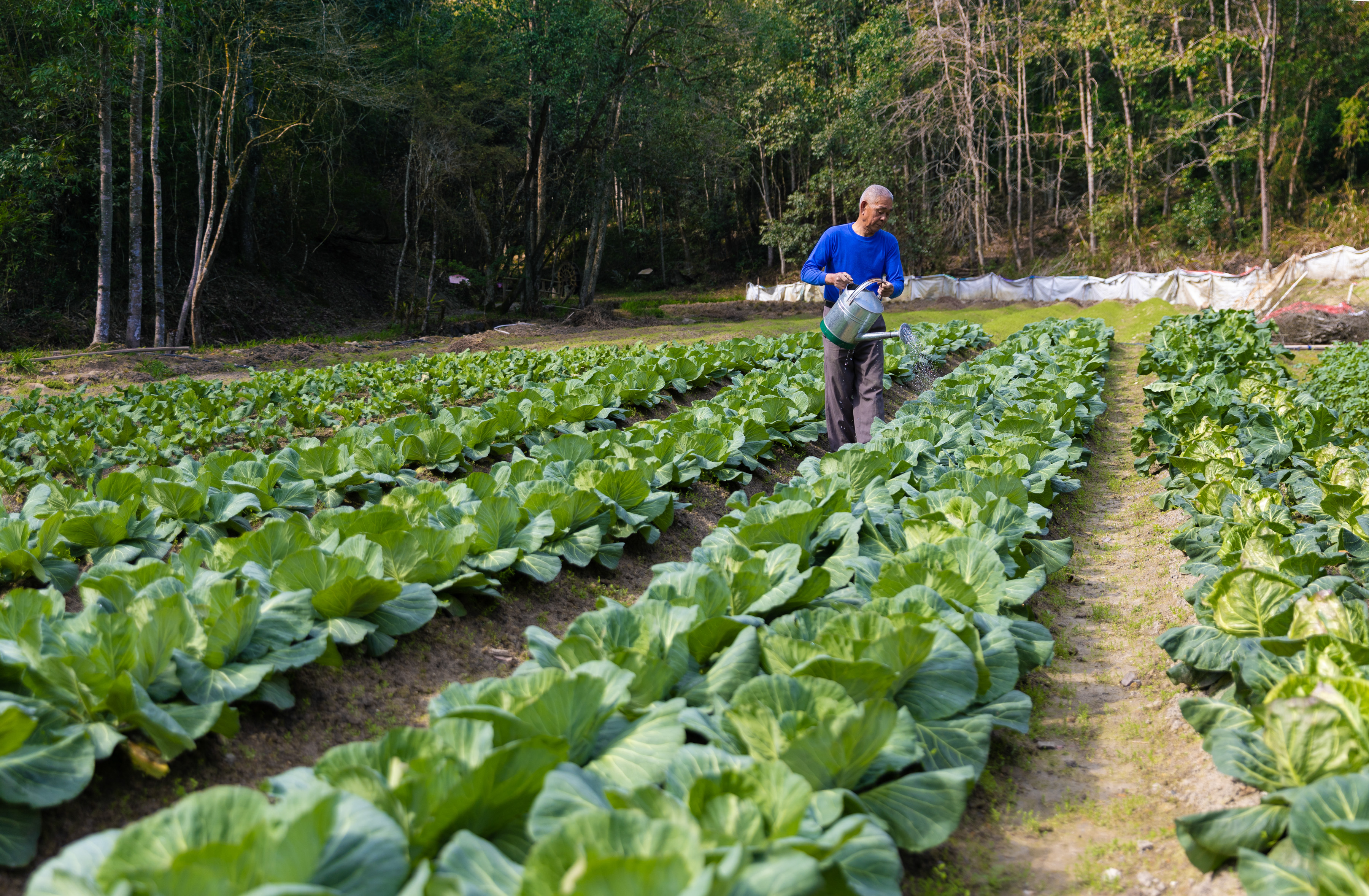 沙县马岩山庄森林康养有什么,沙县马岩康养基地
