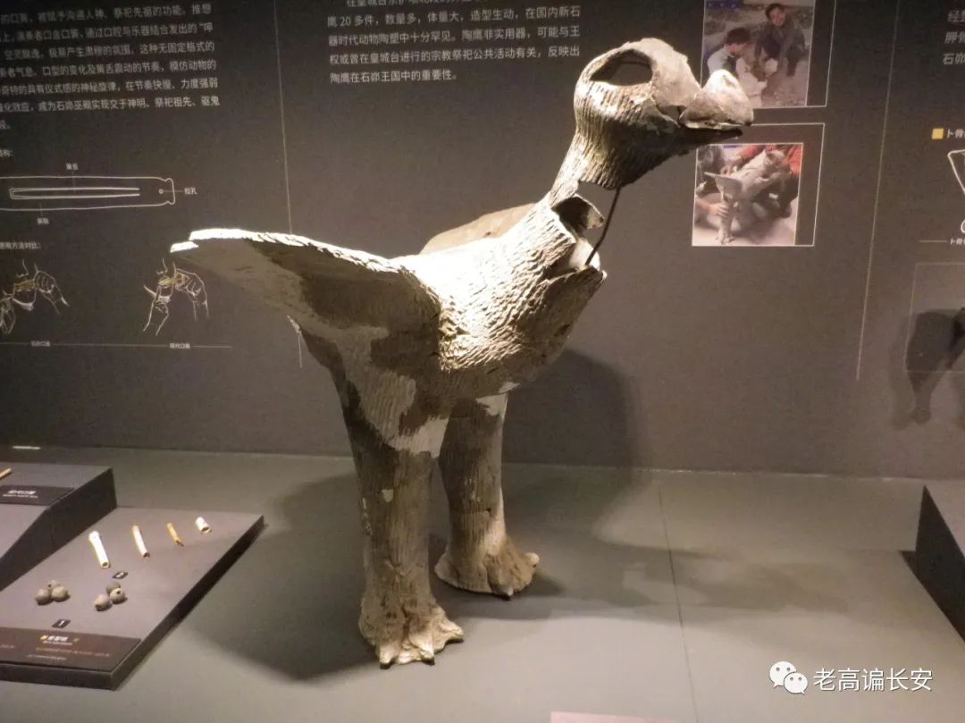 陕西考古博物馆几点放号,陕西考古博物馆门票预约