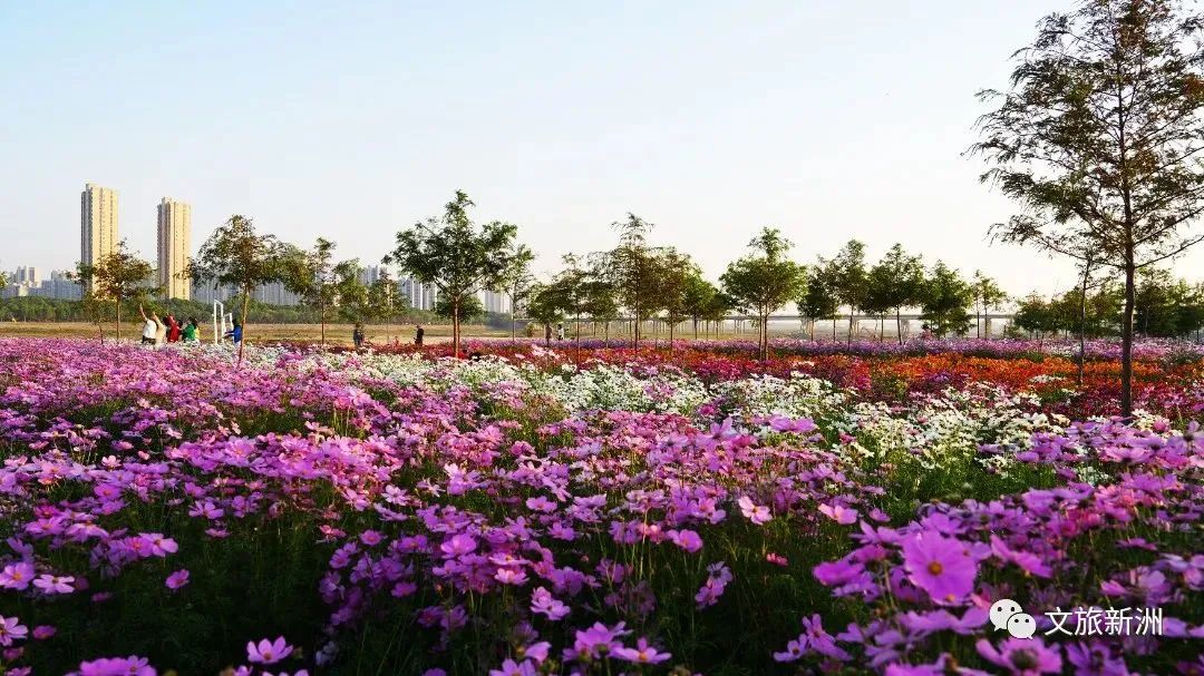 2022新洲文旅精彩不断，2023诗与远方步履不停