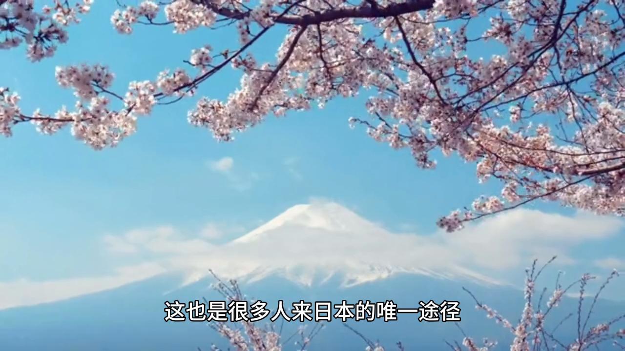 在哪里找中介办理签证,怎么找靠谱的营业执照代办