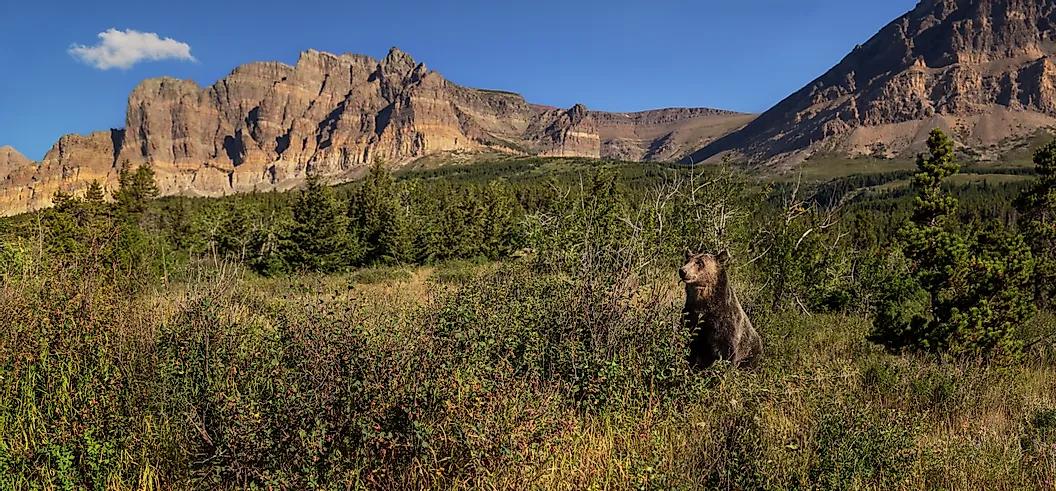 对美国的十大误解,美国有50个州用英语怎么说