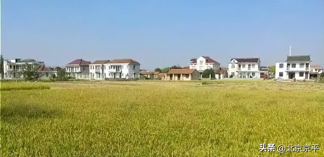 宅基地确权面积超标如何处理,农村宅基地多大面积不超标