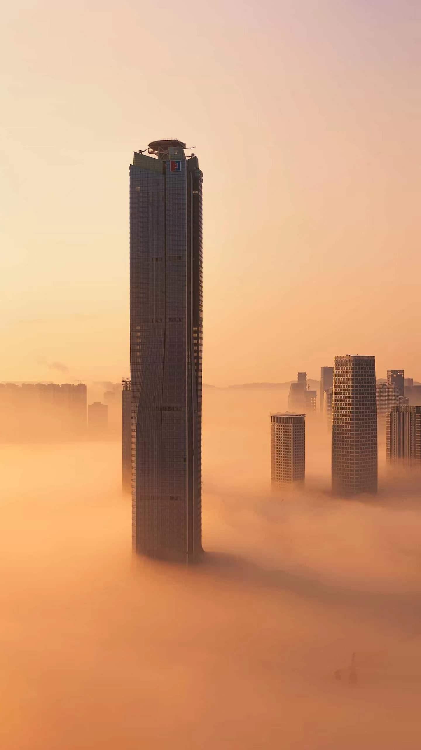 时势造英雄，当下做什么最赚钱